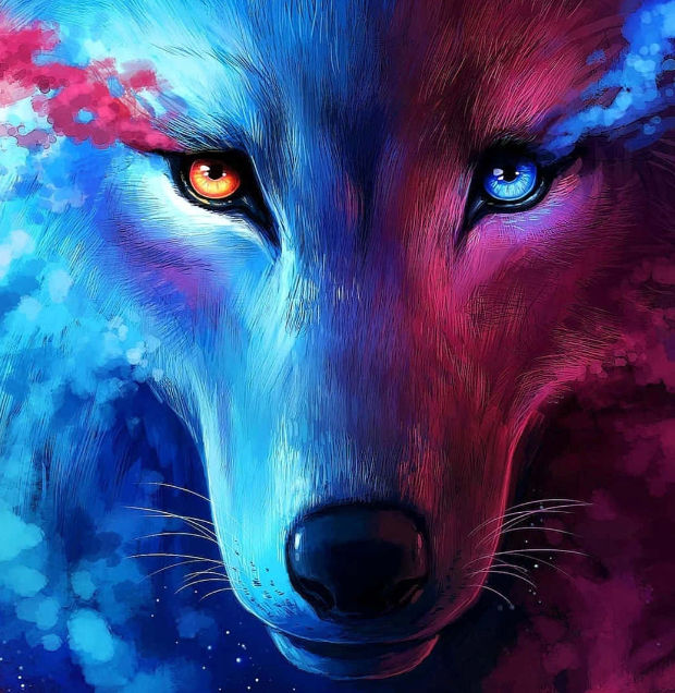 Jasmine (jasminep.lens) Lens social identity (.lens handle) PFP