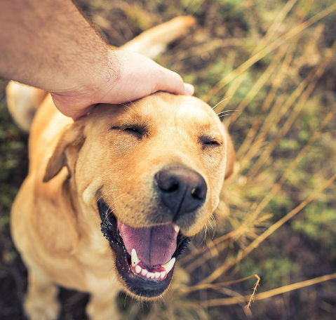 aoner (aoner.lens) Lens social identity (.lens handle) PFP