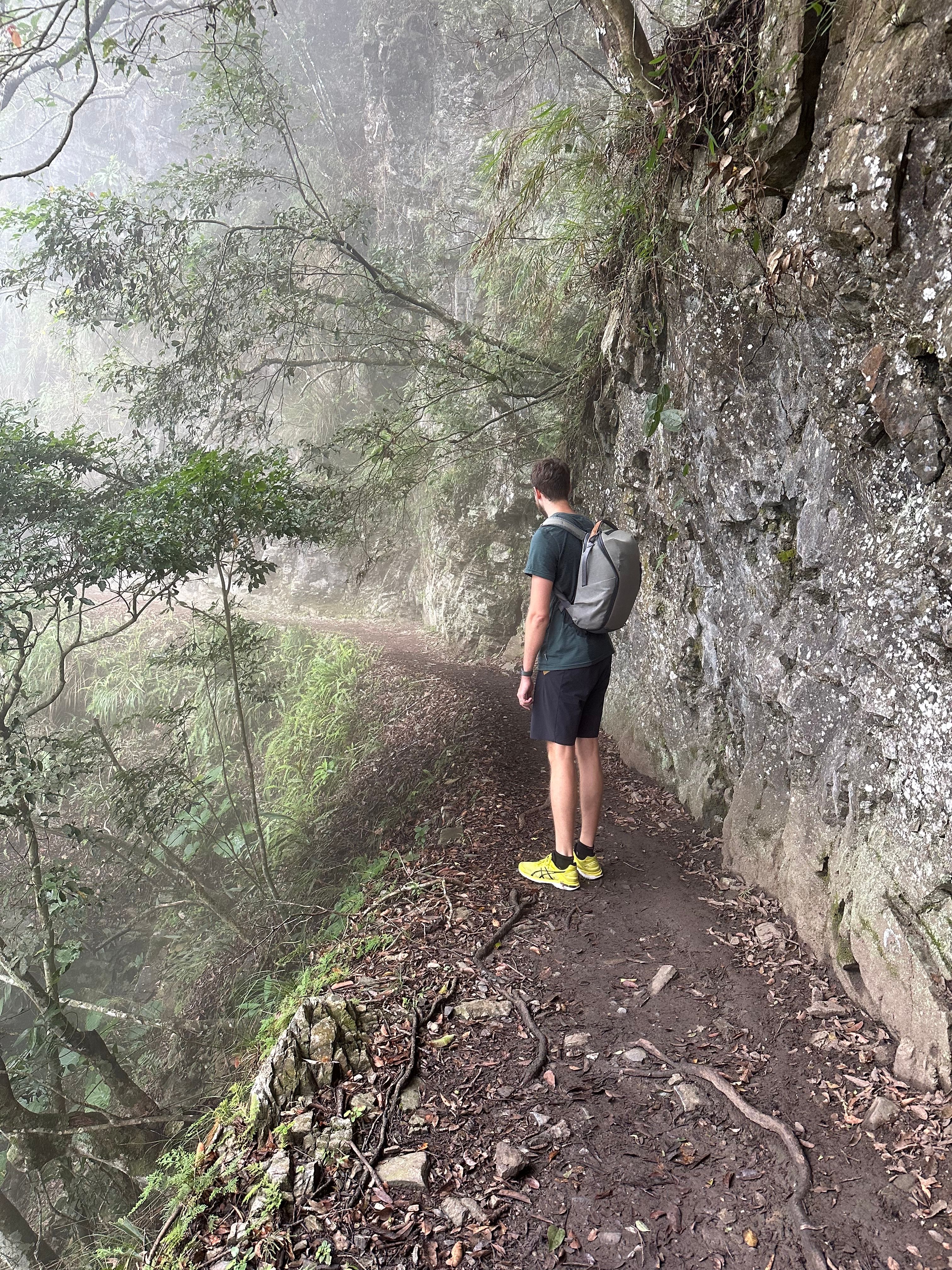 Fog is no valid excuse not to hike.