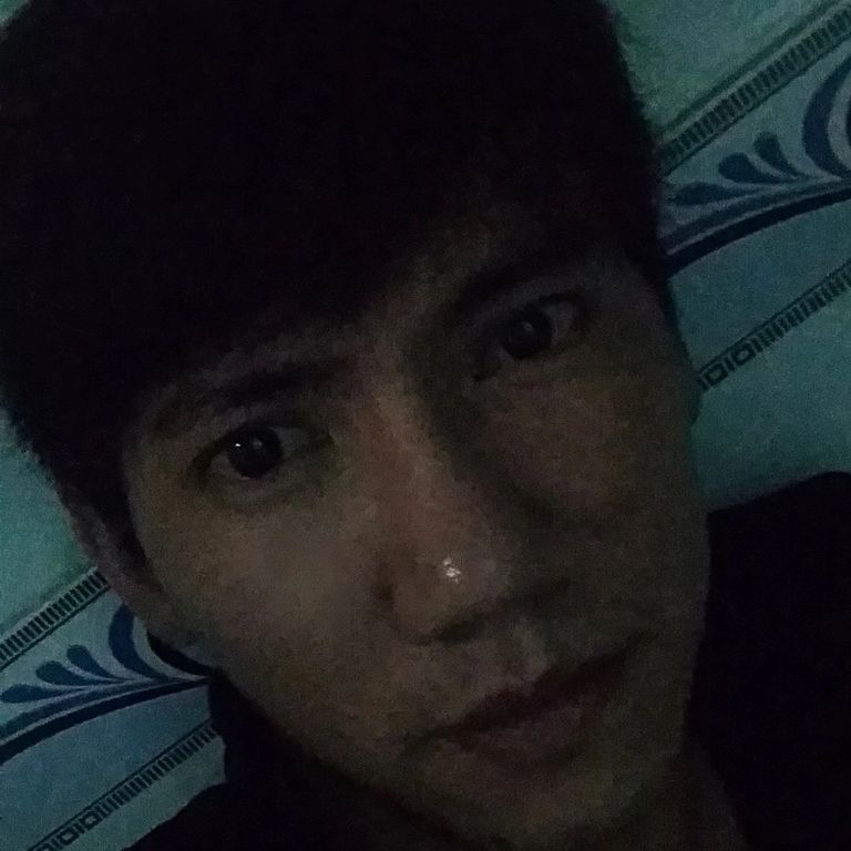 MAIHONGHA (maiha.lens) Lens social identity (.lens handle) PFP