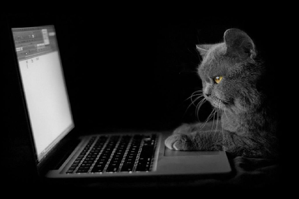 Andrei (antikrizis.lens) Lens social identity (.lens handle) PFP