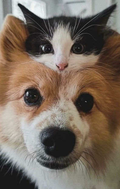 LucindaJer (lucindajer873.lens) Lens social identity (.lens handle) PFP