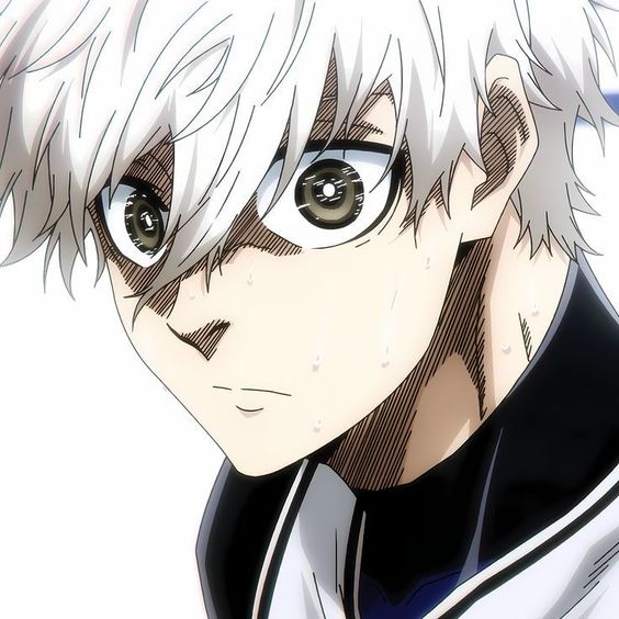 qurool's Lens avatar