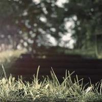 sidearm (sidearm.lens) Lens social identity (.lens handle) PFP