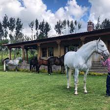 Juan Guzman (juanguzman.lens) Lens social identity (.lens handle) PFP