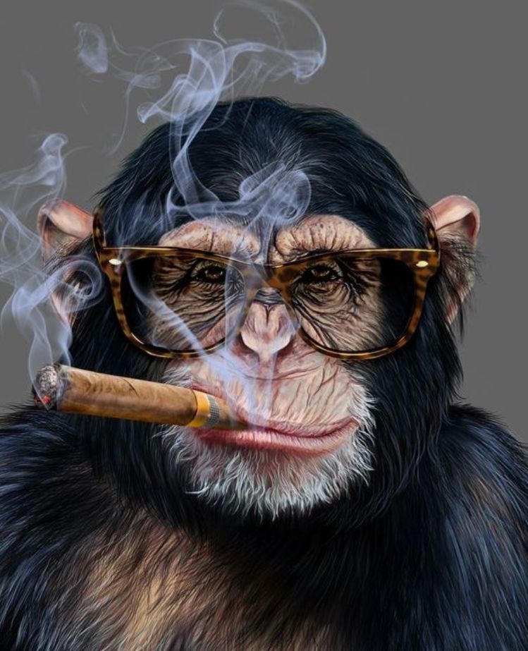 4sotki (foursotki.lens) Lens social identity (.lens handle) PFP