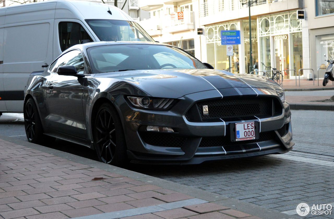 malina (malinaelapse.lens) Lens social identity (.lens handle) PFP