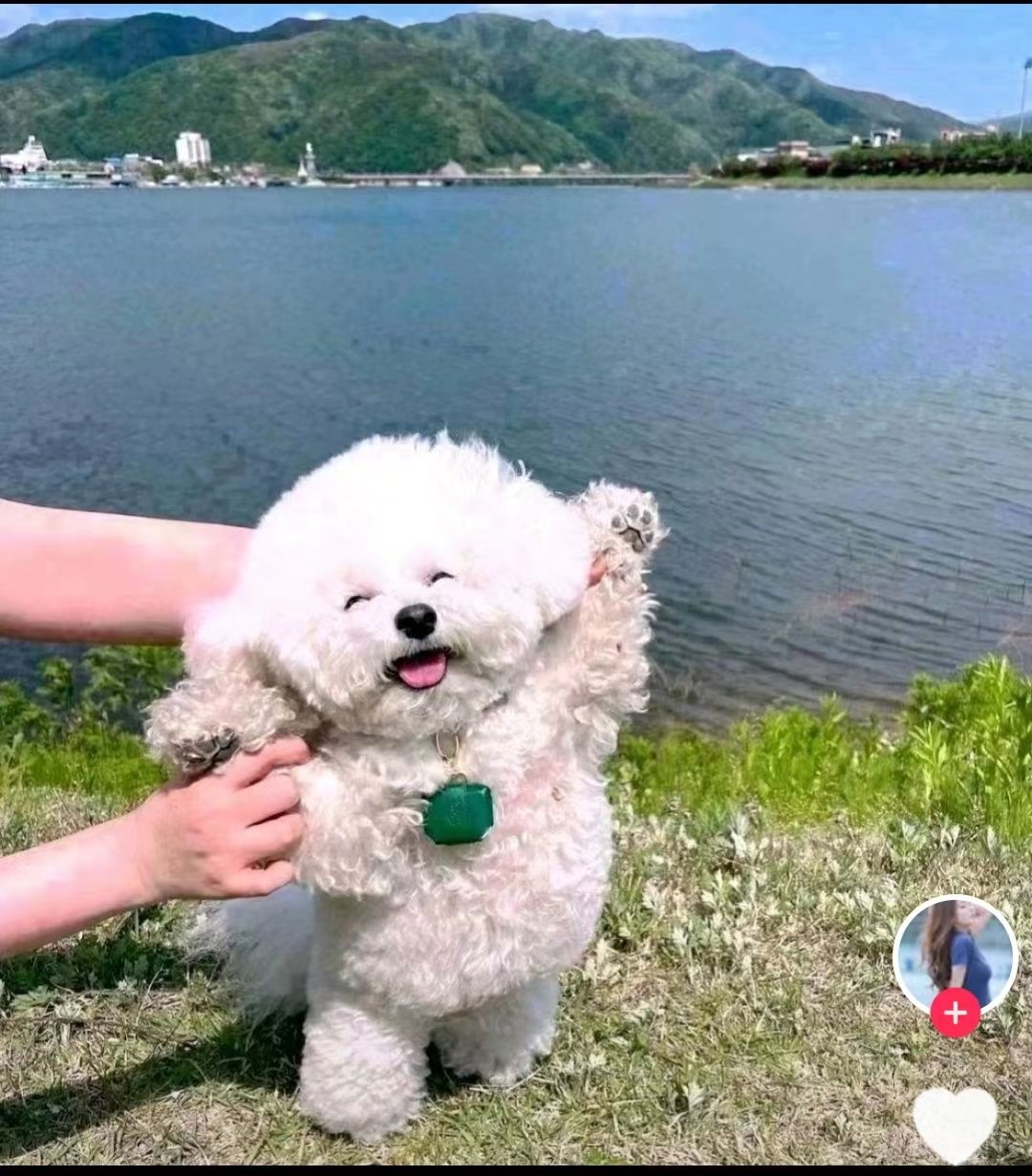 杨老板's Lens avatar