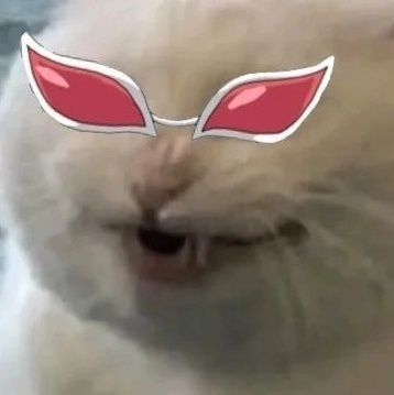 Dofyyy's Lens avatar