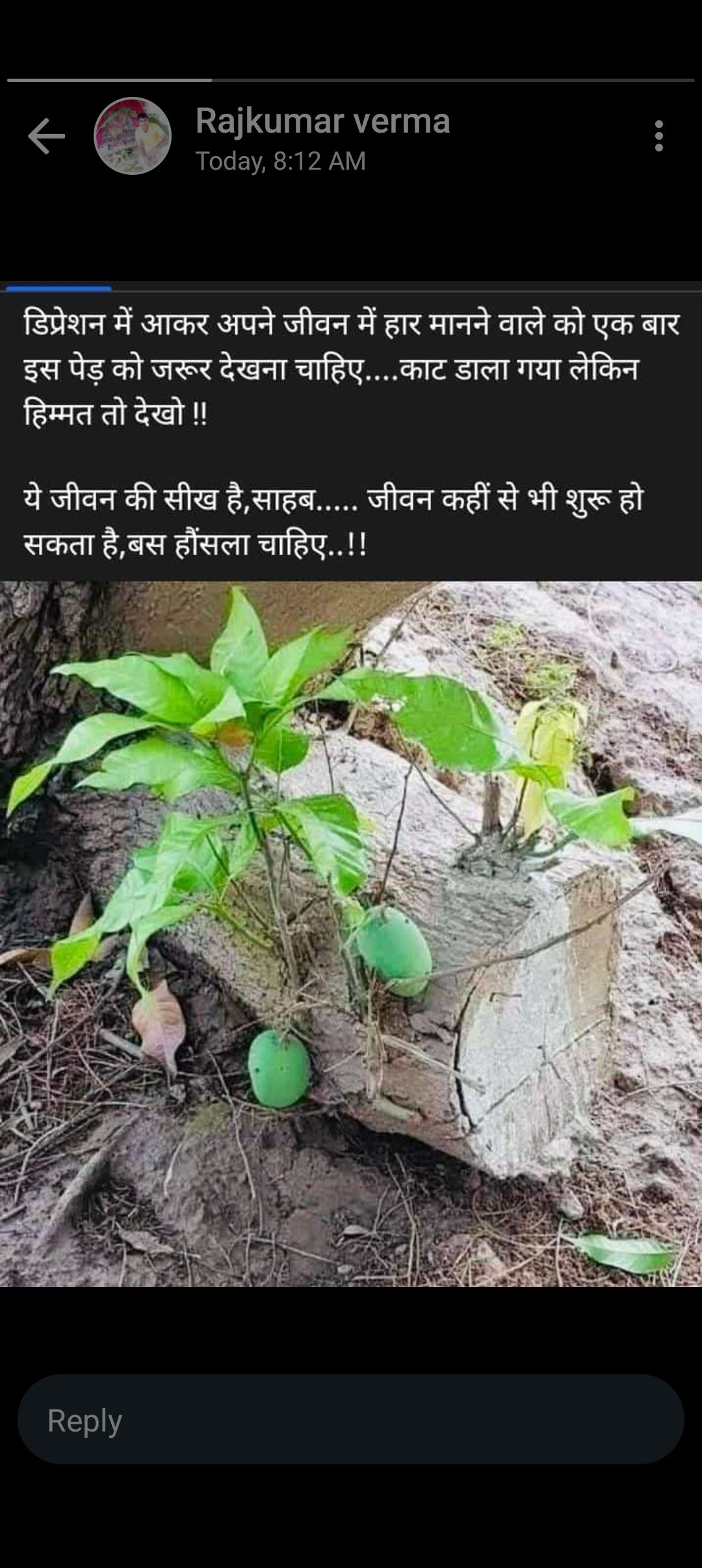 Sangeetaswt (sangeetaswt.lens) Lens social identity (.lens handle) PFP