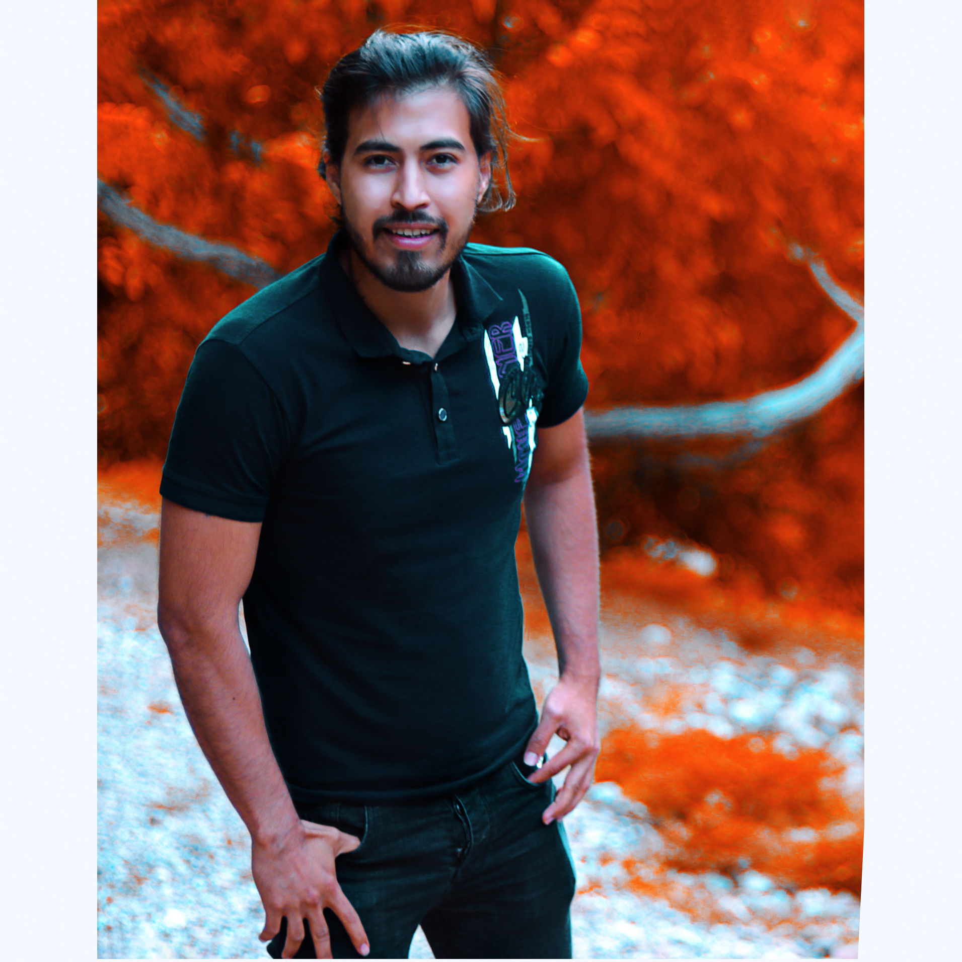 vfxsafari (vfxsafari.lens) Lens social identity (.lens handle) PFP