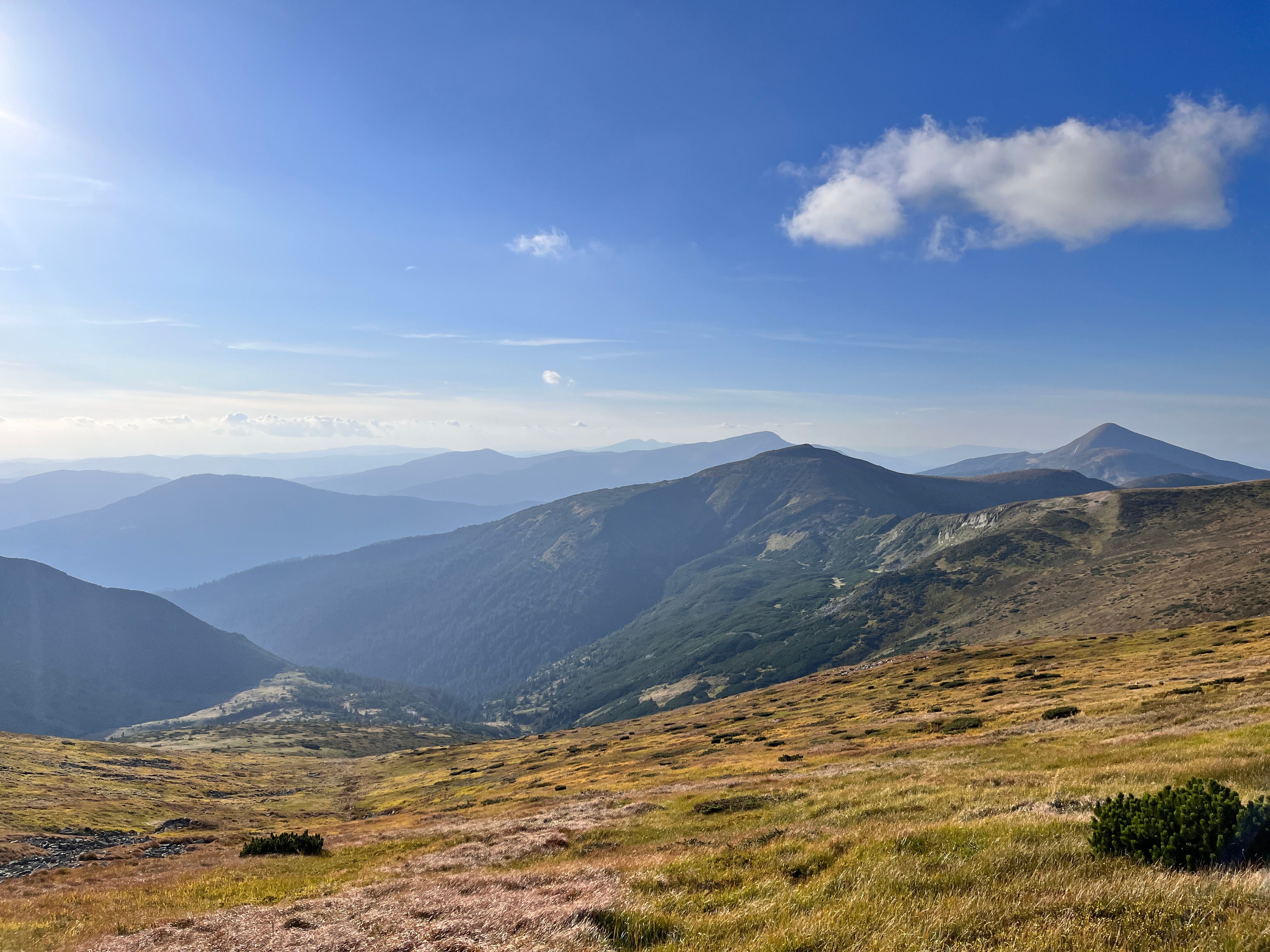 vladprofit.eth Ethereum Name Service (ENS and .eth domain) PFP