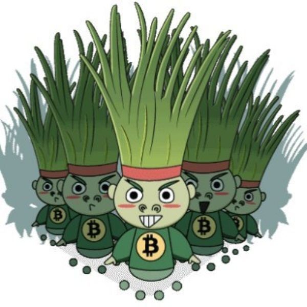 LeekNetwork's Lens avatar