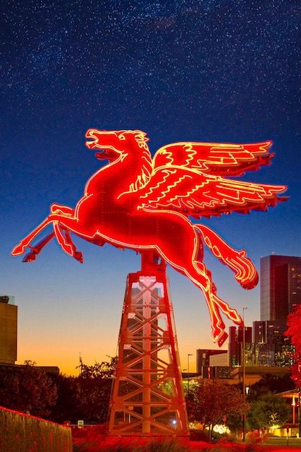 dallascat (dallascat.lens) Lens social identity (.lens handle) PFP