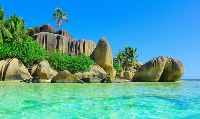 widdershins (widdershins.lens) Lens social identity (.lens handle) PFP