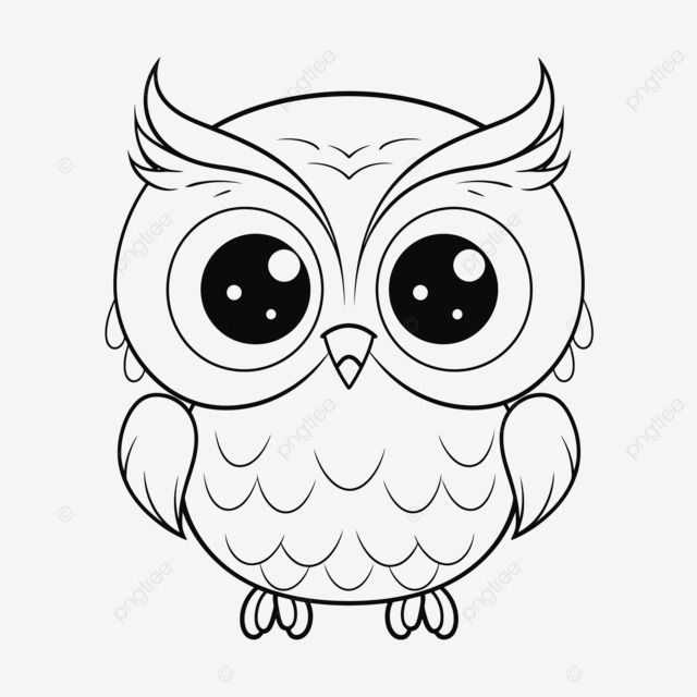 Ali's Lens avatar
