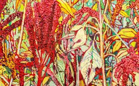 Alpha (tokenlaunchpad.lens) Lens social identity (.lens handle) PFP