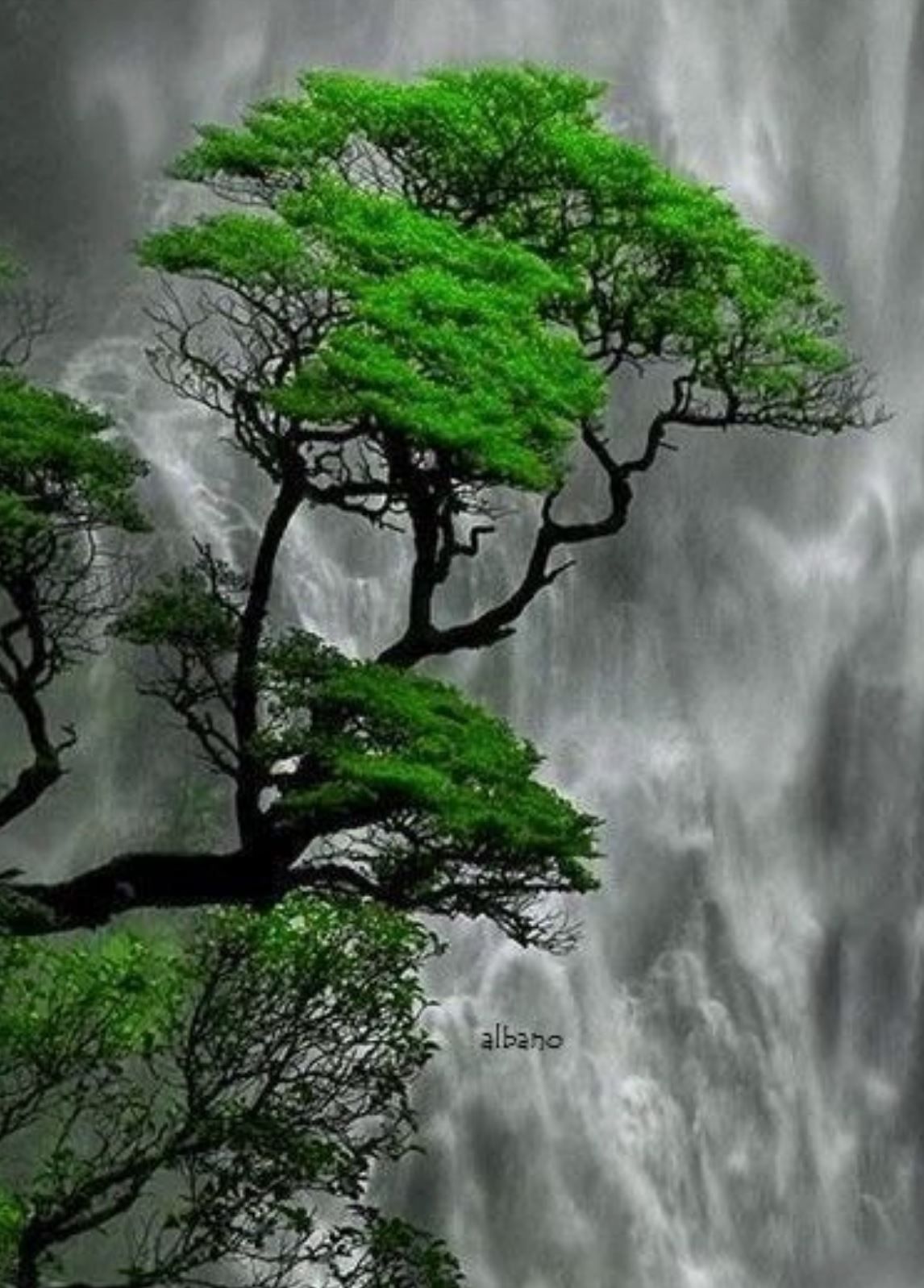 nasredvan (nasredvan.lens) Lens social identity (.lens handle) PFP