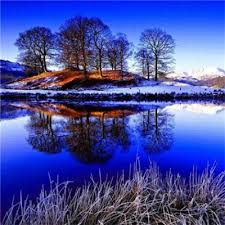 TY (fedsd.lens) Lens social identity (.lens handle) PFP