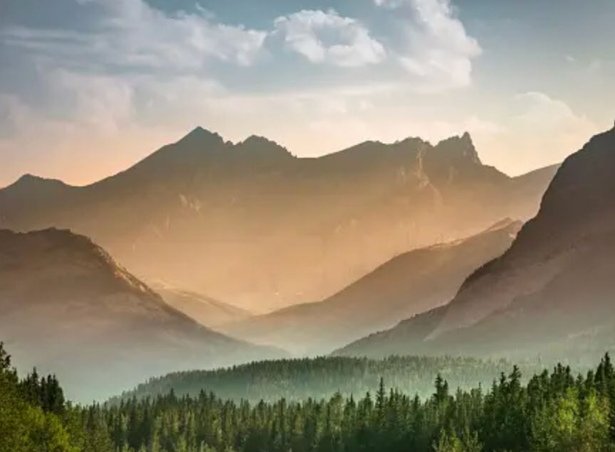 mayson (maisonmihara.lens) Lens social identity (.lens handle) PFP