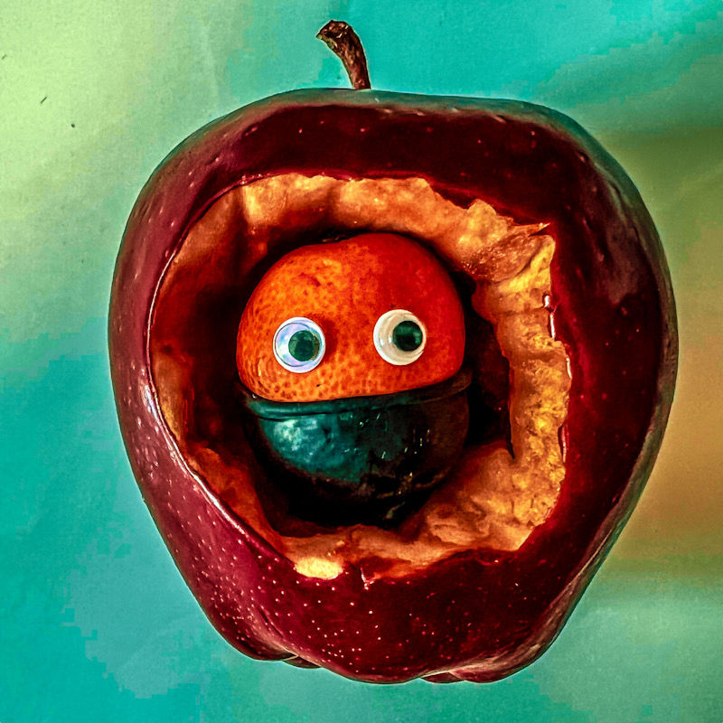 Dirty Kumquats (dirtykumquats.lens) Lens social identity (.lens handle) PFP