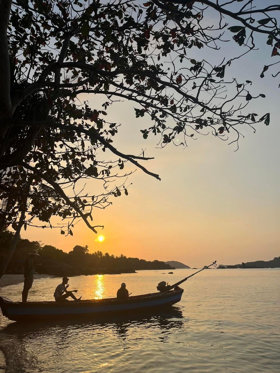 Duy Dao's Lens avatar