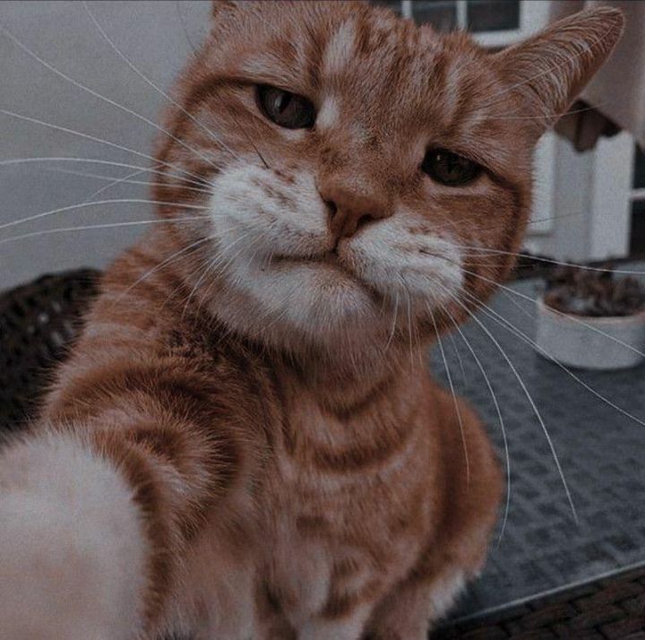 xyz69's Lens avatar