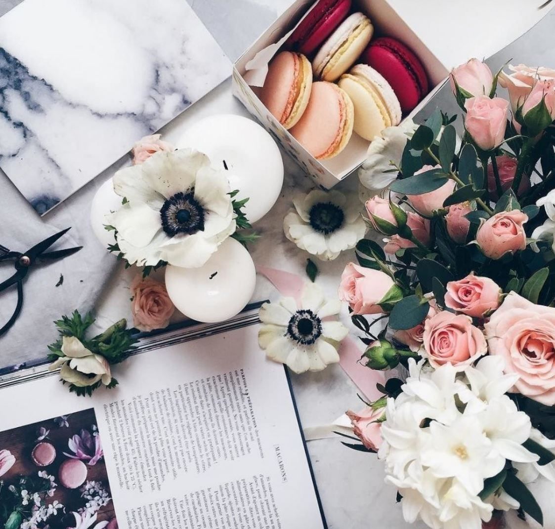 xipolono (xipolono.lens) Lens social identity (.lens handle) PFP