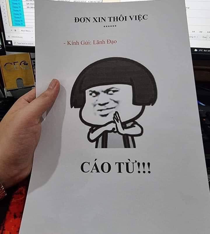 fuckthedev (fuckthedev.lens) Lens social identity (.lens handle) PFP