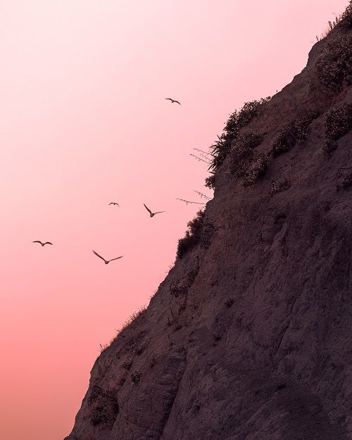 Anthony Fox (ant4x.lens) Lens social identity (.lens handle) PFP