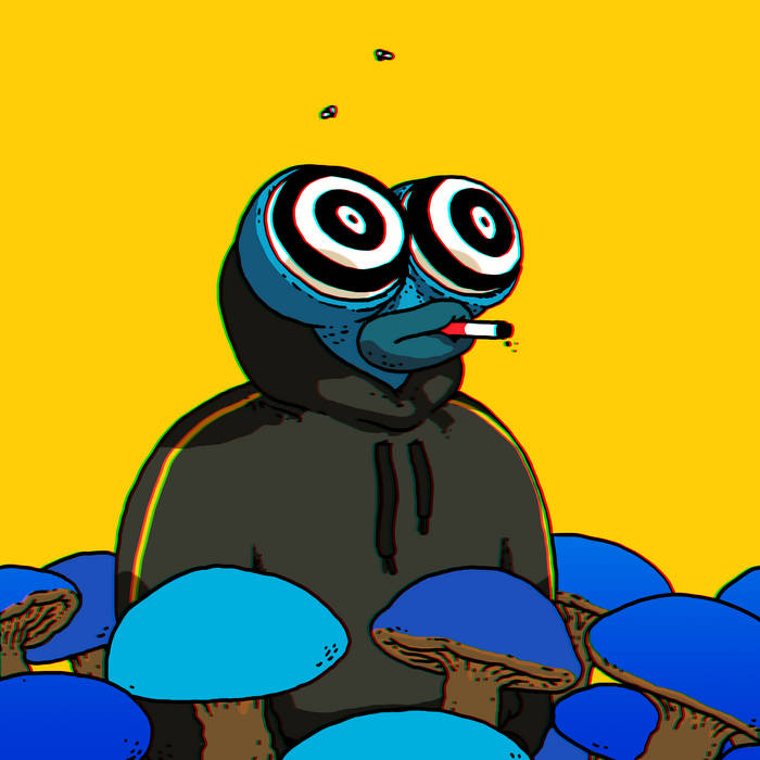 Furkan's Lens avatar