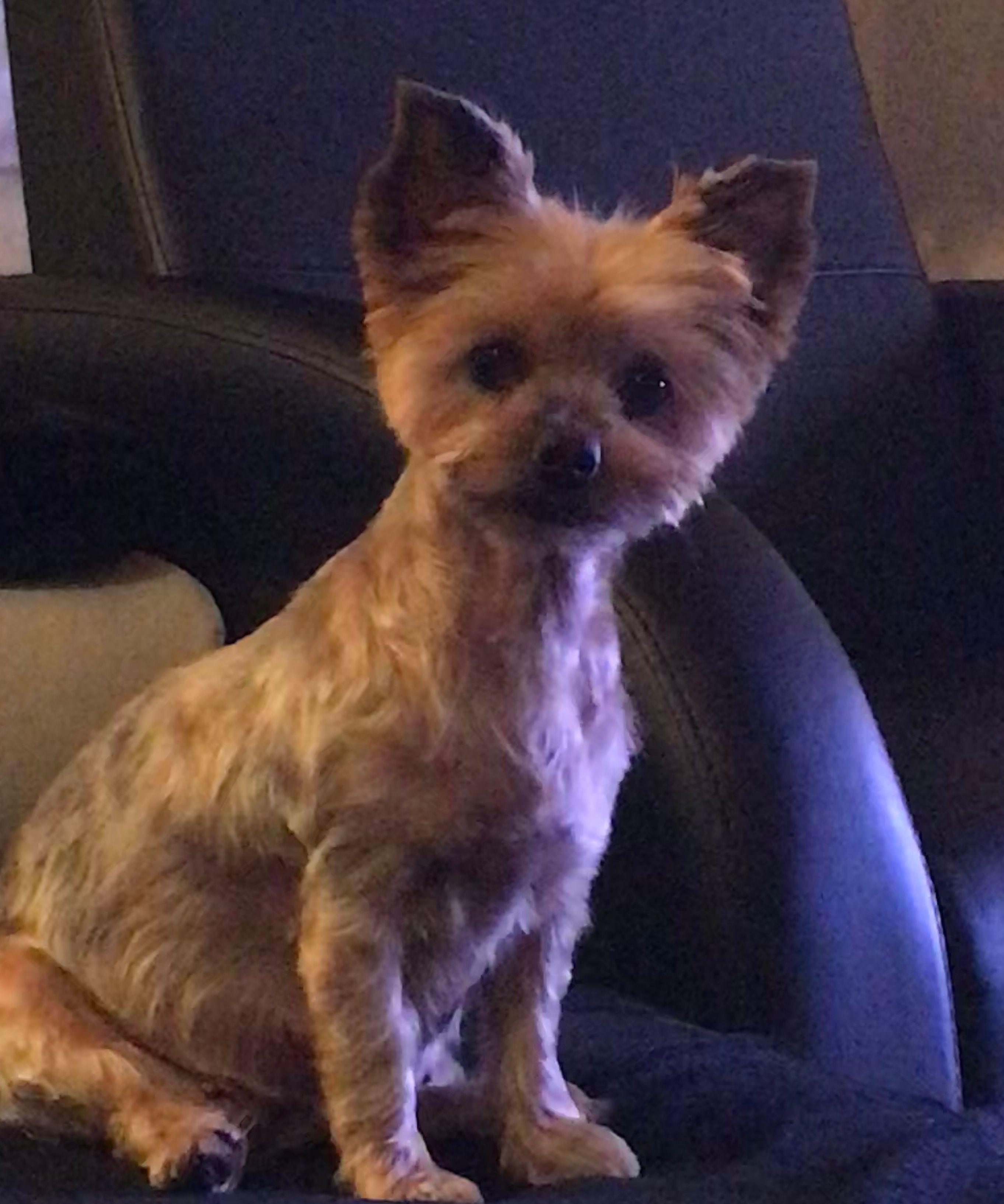 Marisa (yuna1262.lens) Lens social identity (.lens handle) PFP