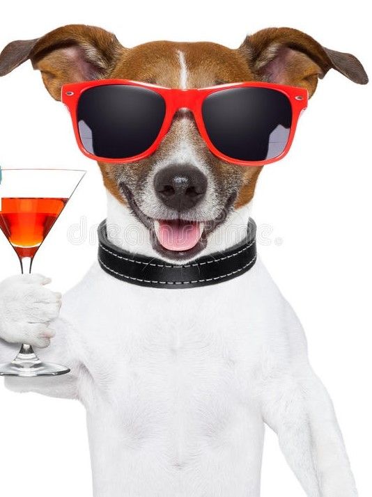 charonpluto (charonpluto.lens) Lens social identity (.lens handle) PFP