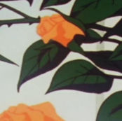 NotGod (notgod.lens) Lens social identity (.lens handle) PFP