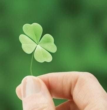 roveabainza.lens Lens social identity (.lens handle) PFP