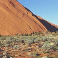 oktry (oktry.lens) Lens social identity (.lens handle) PFP