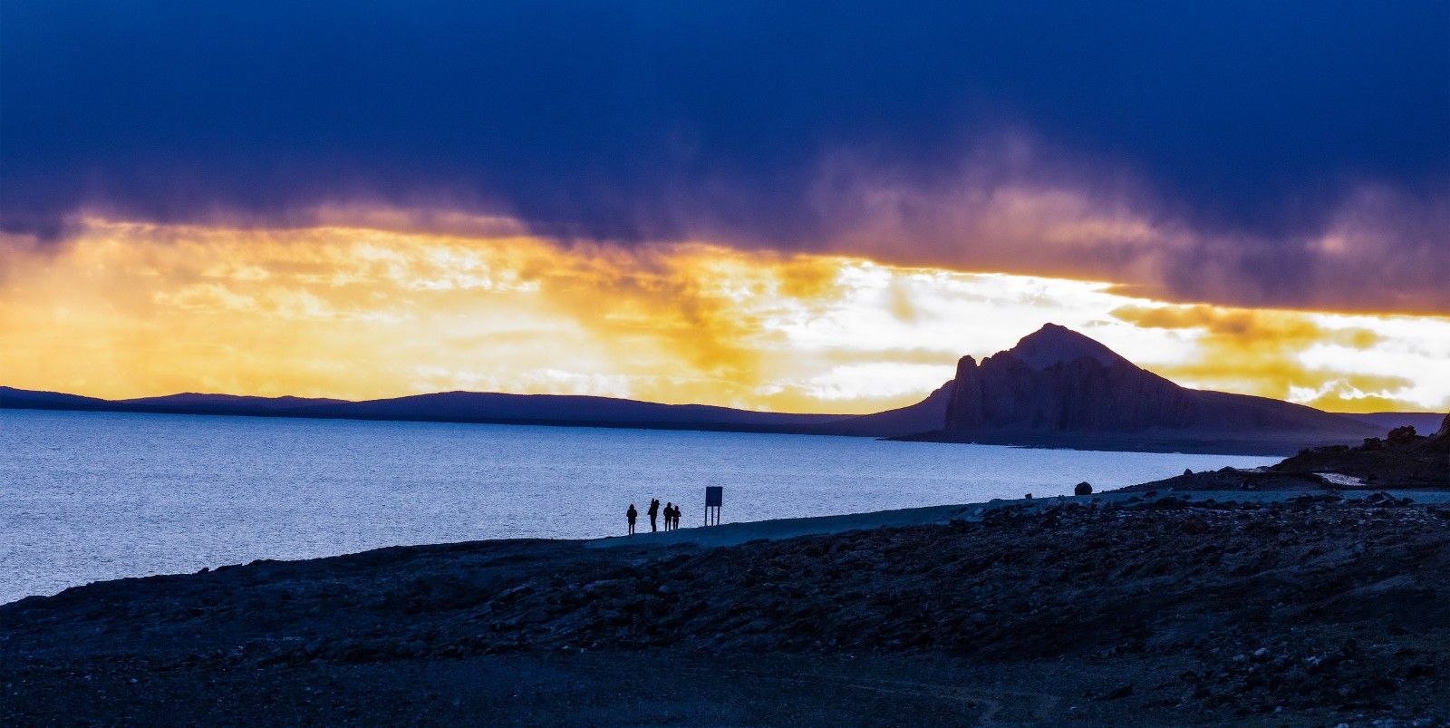 Tina Franklin (tinafranklin.lens) Lens social identity (.lens handle) PFP