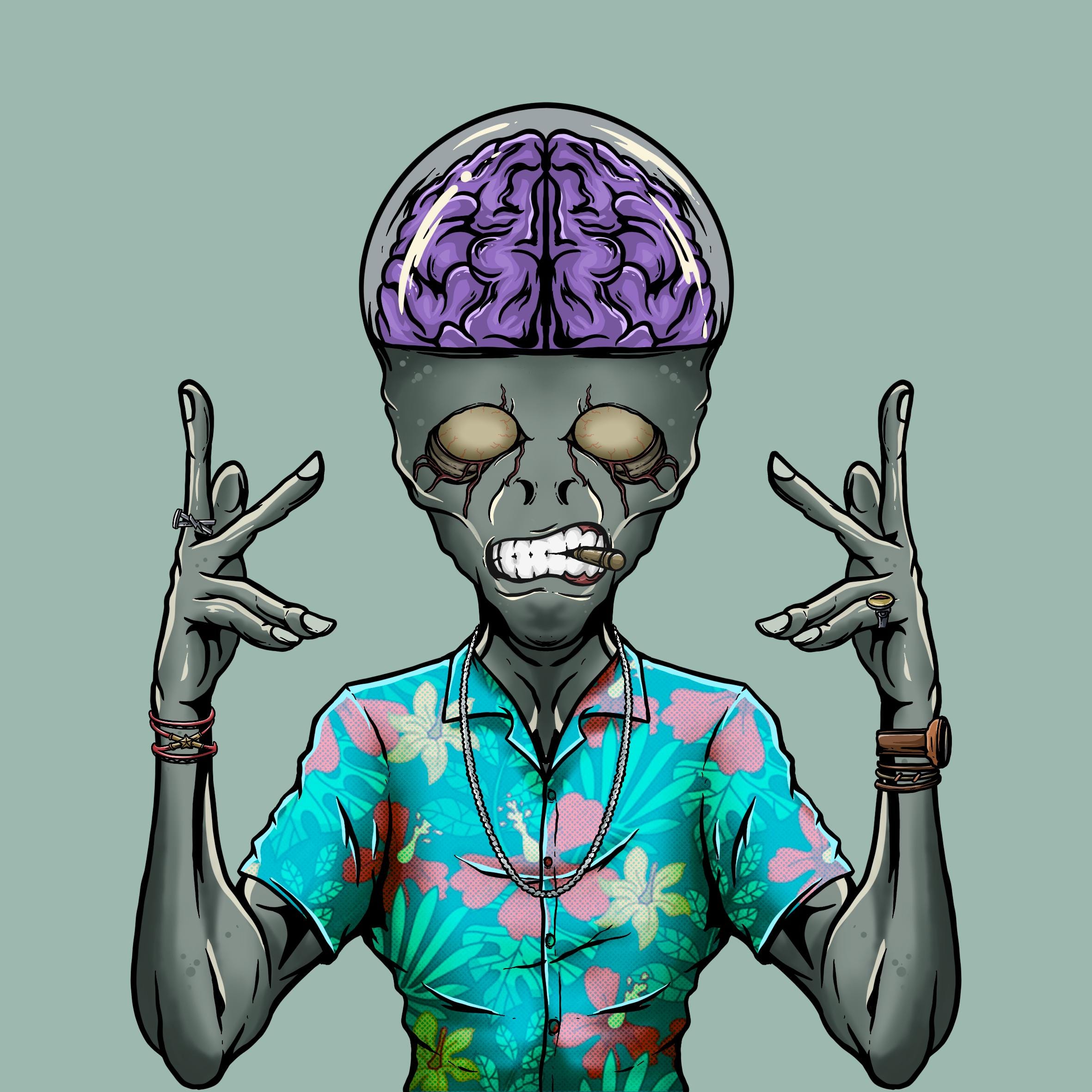 Mikołaj Tomczyk (mikolajtomczyk.lens) Lens social identity (.lens handle) PFP