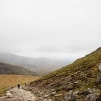 herselfshake (herselfshake.lens) Lens social identity (.lens handle) PFP