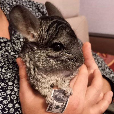 alex03061989.lens Lens social identity (.lens handle) PFP