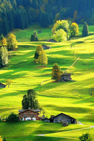 offices (offices.lens) Lens social identity (.lens handle) PFP