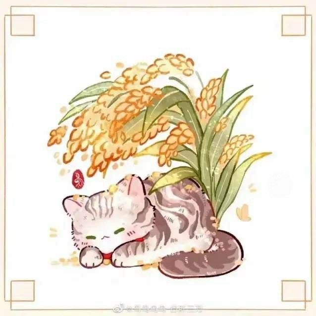 errfs.lens Lens social identity (.lens handle) PFP