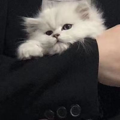 Aspirin's Lens avatar