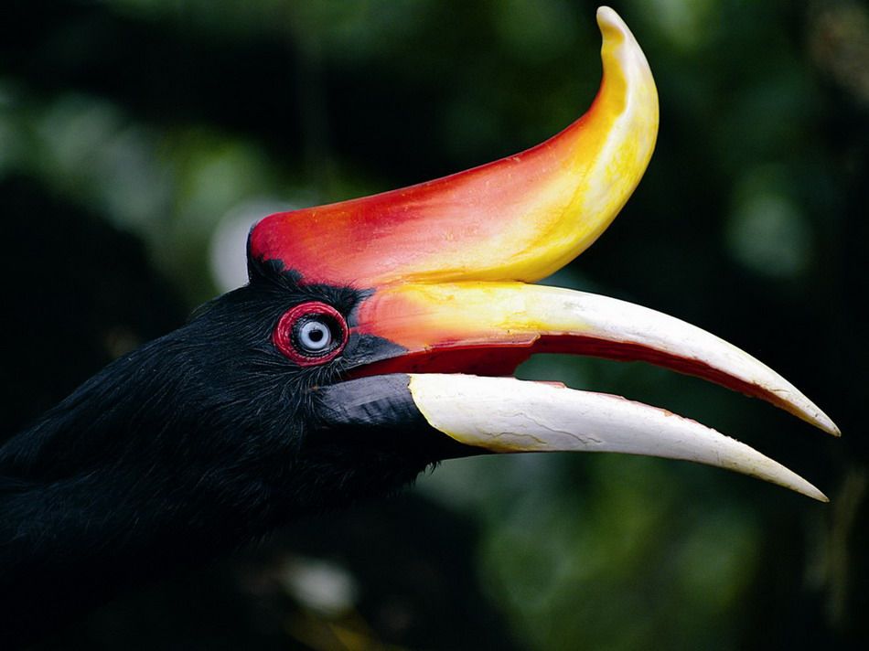 qwertyoleg (hihifndhduhdf12.lens) Lens social identity (.lens handle) PFP