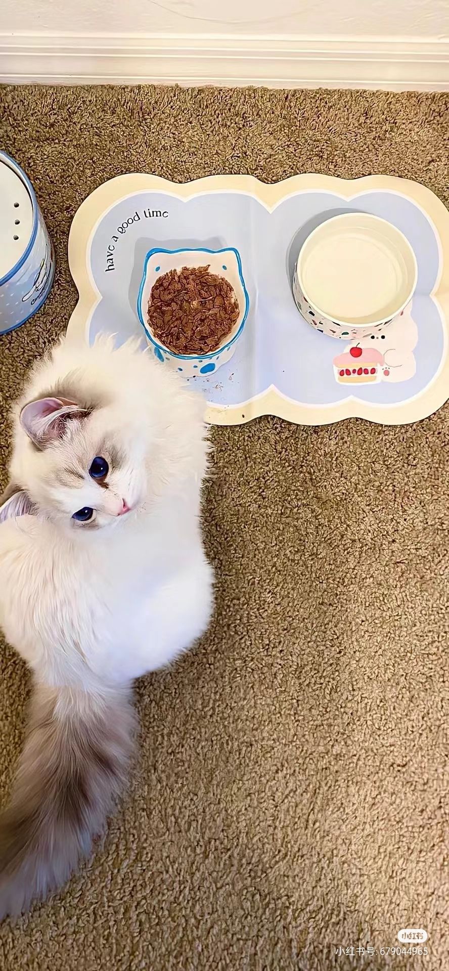 perk9 (perk9.lens) Lens social identity (.lens handle) PFP