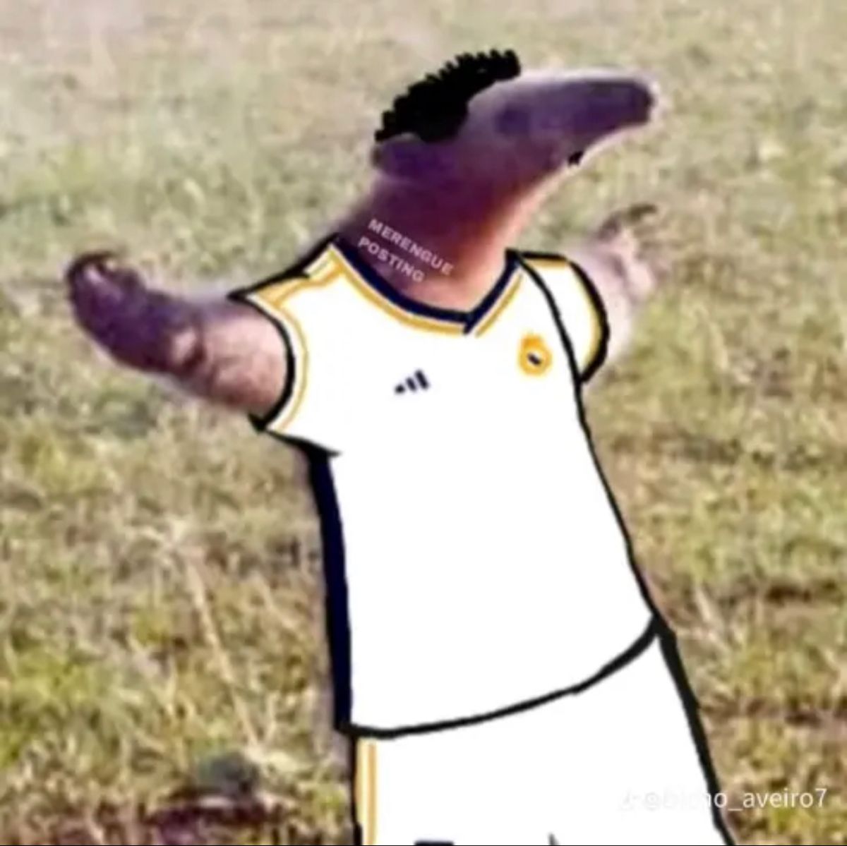 Belligol (meowr.lens) Lens social identity (.lens handle) PFP