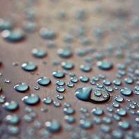 warhang (warhang.lens) Lens social identity (.lens handle) PFP