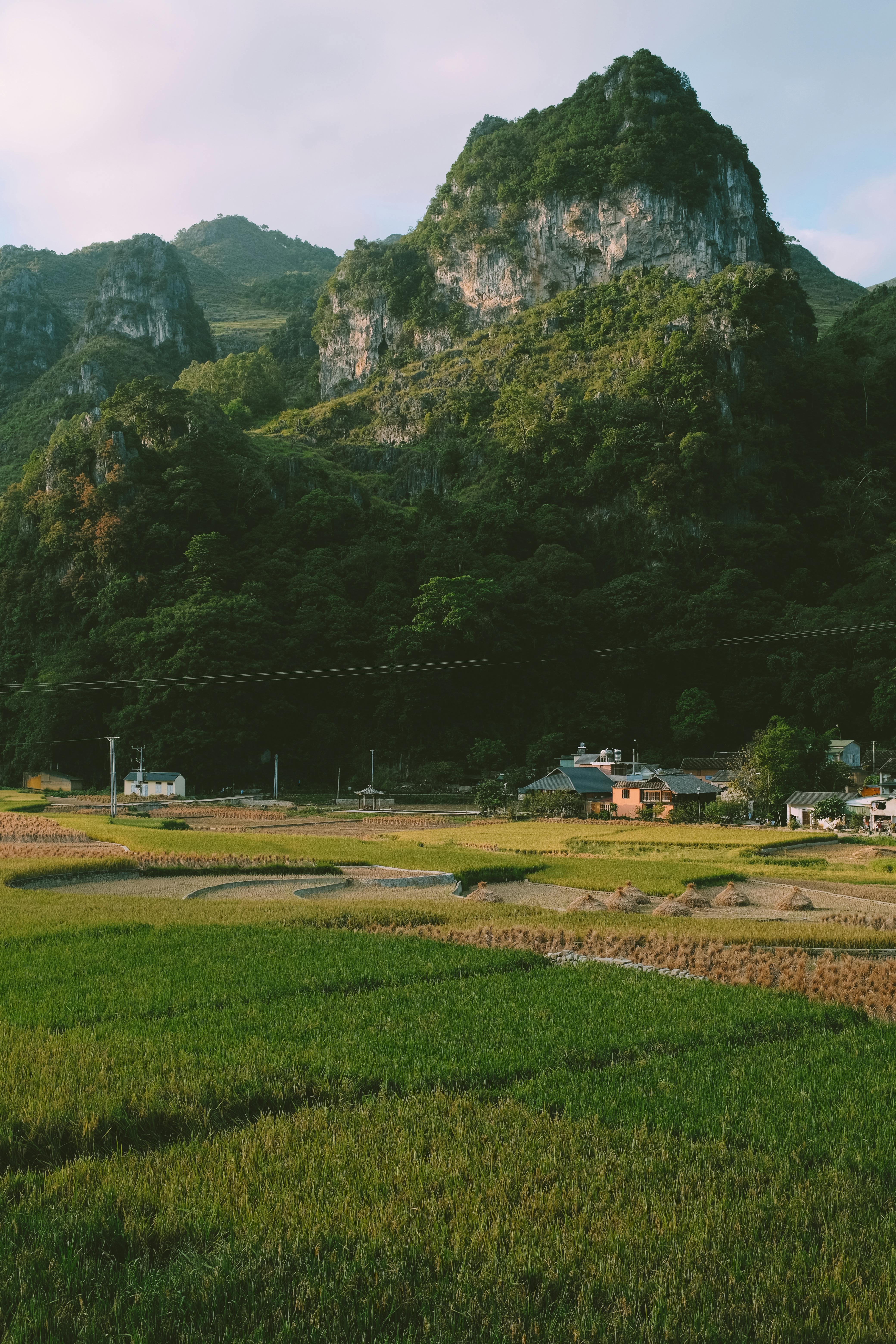 tyler (knkmm.lens) Lens social identity (.lens handle) PFP