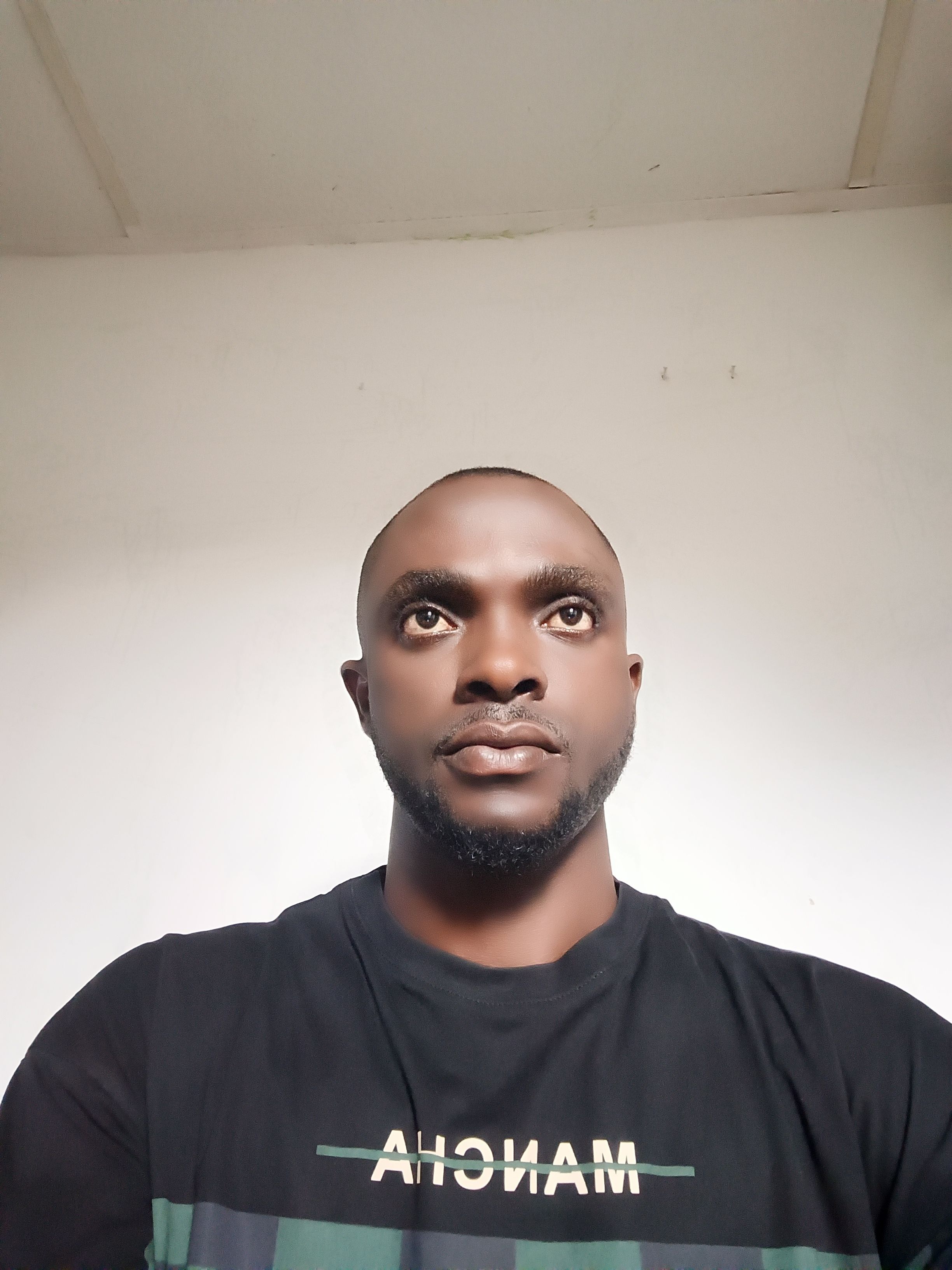 Dynasty (cityoflife.lens) Lens social identity (.lens handle) PFP