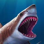 Play 6 Wild Sharks, Online Slot